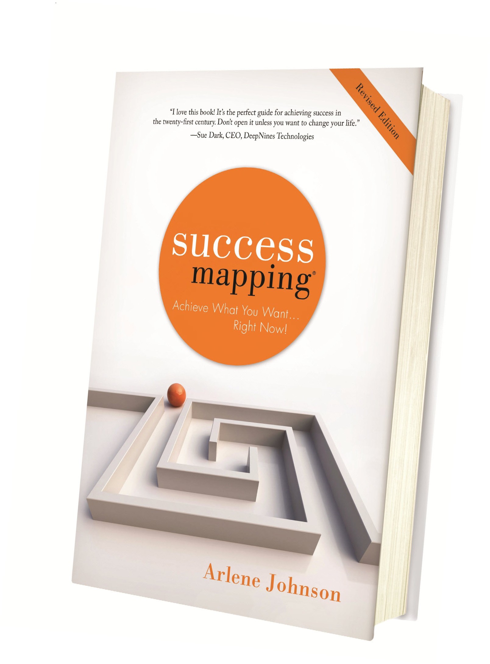 SuccessMapping®: Achieve What You Want Right Now